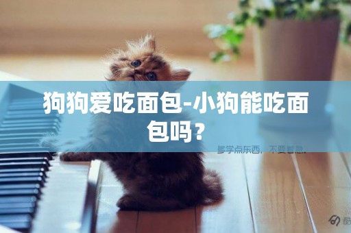 狗狗愛吃面包-小狗能吃面包嗎？