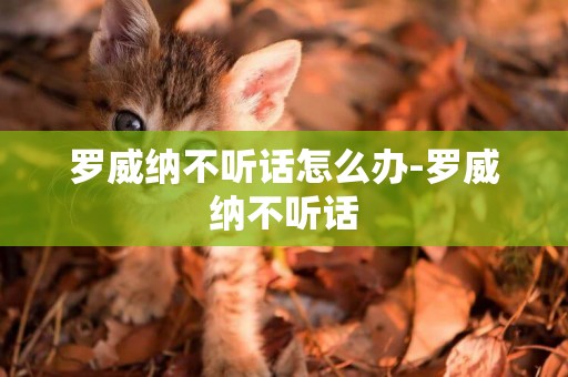 羅威納不聽話怎么辦-羅威納不聽話