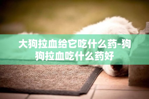 大狗拉血給它吃什么藥-狗狗拉血吃什么藥好