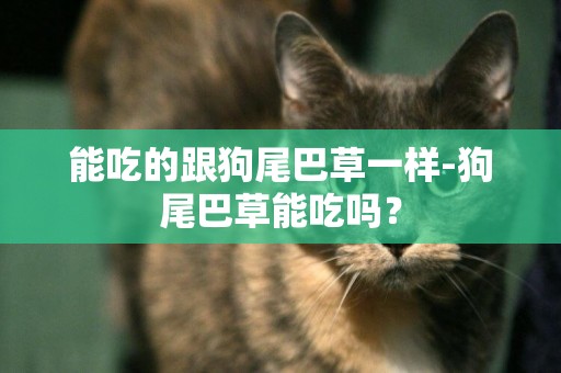 能吃的跟狗尾巴草一樣-狗尾巴草能吃嗎？