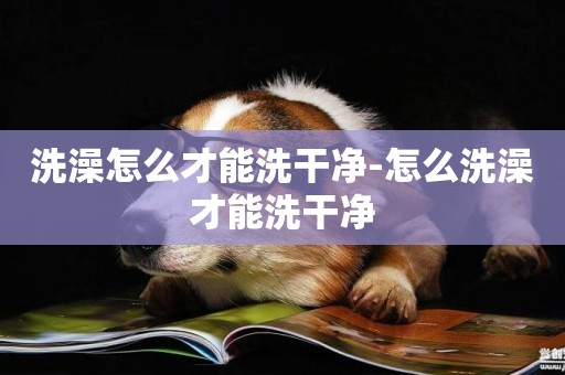 洗澡怎么才能洗干凈-怎么洗澡才能洗干凈