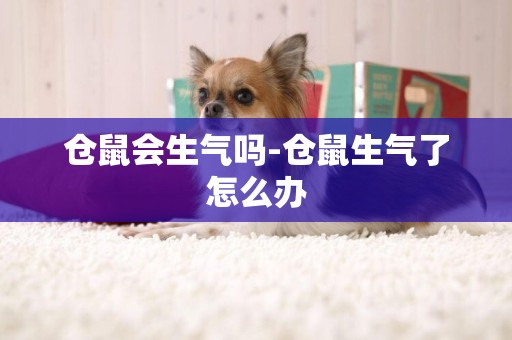 倉鼠會生氣嗎-倉鼠生氣了怎么辦