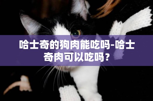 哈士奇的狗肉能吃嗎-哈士奇肉可以吃嗎？