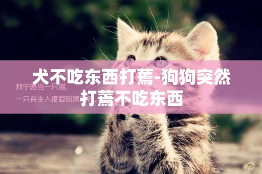 犬不吃東西打蔫-狗狗突然打蔫不吃東西