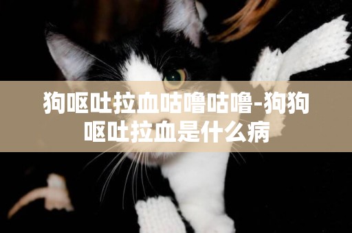 狗嘔吐拉血咕嚕咕嚕-狗狗嘔吐拉血是什么病