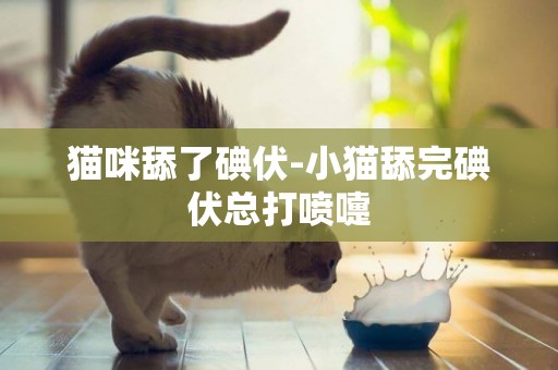 貓咪舔了碘伏-小貓舔完碘伏總打噴嚏