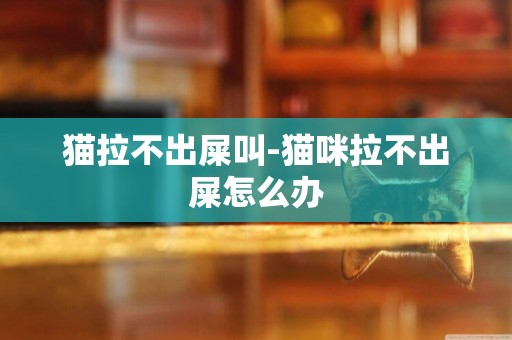 貓拉不出屎叫-貓咪拉不出屎怎么辦