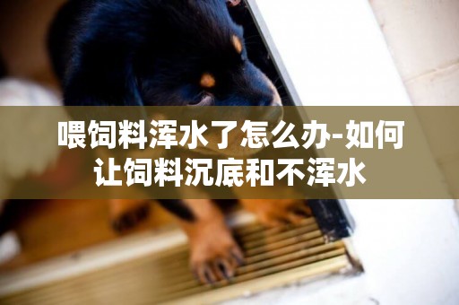喂飼料渾水了怎么辦-如何讓飼料沉底和不渾水