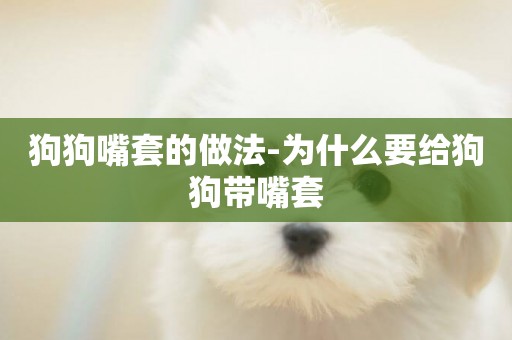 狗狗嘴套的做法-為什么要給狗狗帶嘴套