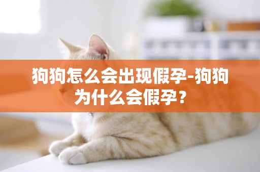 狗狗怎么會出現假孕-狗狗為什么會假孕？