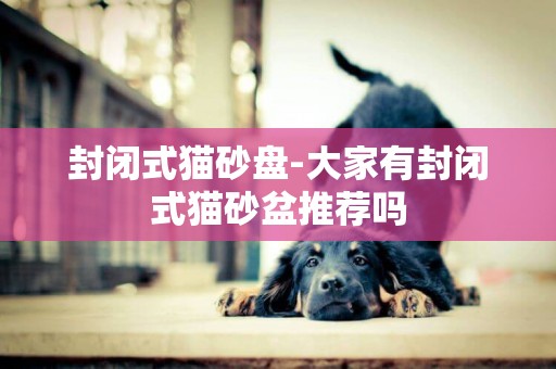 封閉式貓砂盤-大家有封閉式貓砂盆推薦嗎