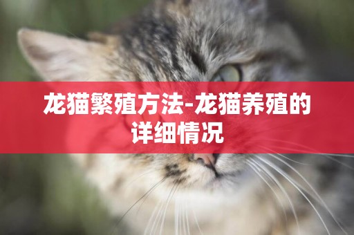 龍貓繁殖方法-龍貓養殖的詳細情況