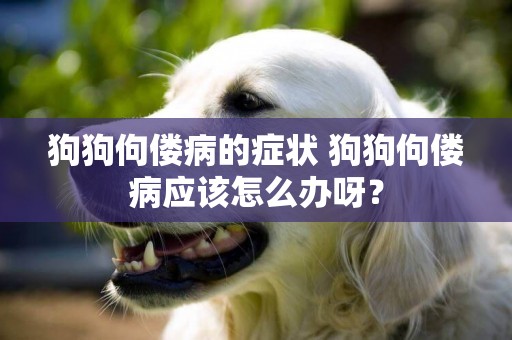 狗狗佝僂病的癥狀 狗狗佝僂病應該怎么辦呀？