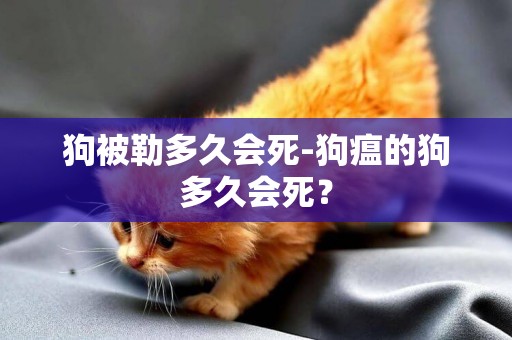狗被勒多久會死-狗瘟的狗多久會死？