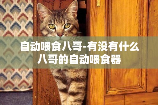 自動喂食八哥-有沒有什么八哥的自動喂食器