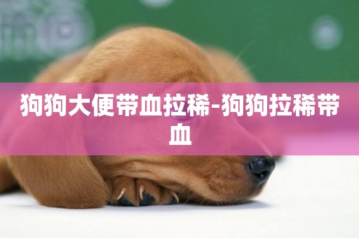狗狗大便帶血拉稀-狗狗拉稀帶血