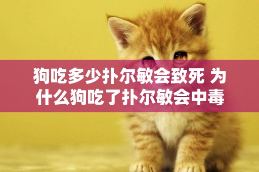 狗吃多少撲爾敏會致死 為什么狗吃了撲爾敏會中毒