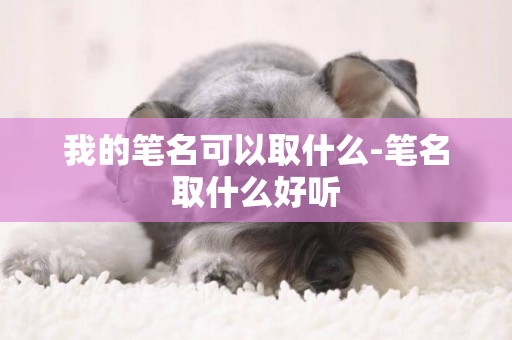 我的筆名可以取什么-筆名取什么好聽