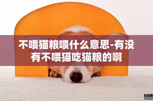不喂貓糧喂什么意思-有沒有不喂貓吃貓糧的啊