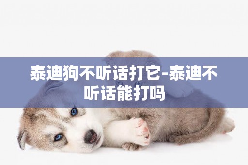 泰迪狗不聽話打它-泰迪不聽話能打嗎