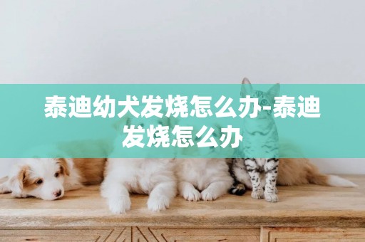 泰迪幼犬發燒怎么辦-泰迪發燒怎么辦