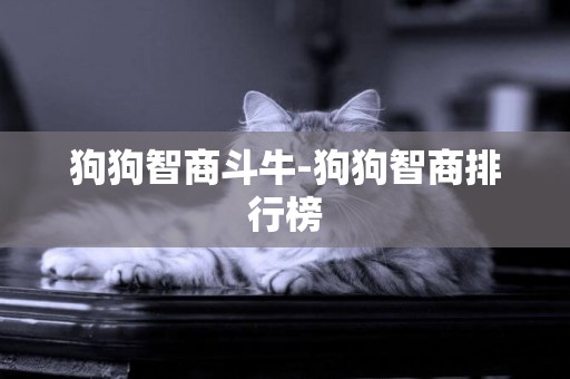 狗狗智商斗牛-狗狗智商排行榜