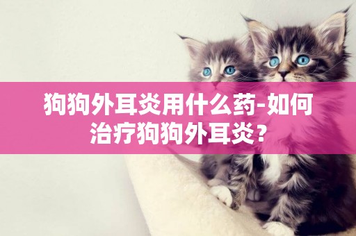 狗狗外耳炎用什么藥-如何治療狗狗外耳炎？