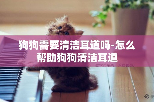 狗狗需要清潔耳道嗎-怎么幫助狗狗清潔耳道