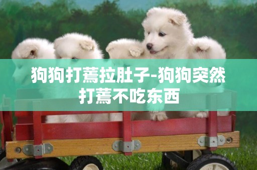 狗狗打蔫拉肚子-狗狗突然打蔫不吃東西