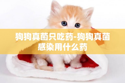 狗狗真菌只吃藥-狗狗真菌感染用什么藥