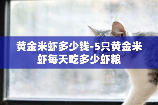 黃金米蝦多少錢-5只黃金米蝦每天吃多少蝦糧