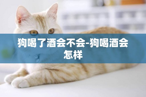 狗喝了酒會不會-狗喝酒會怎樣