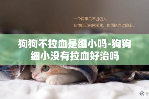 狗狗不拉血是細小嗎-狗狗細小沒有拉血好治嗎