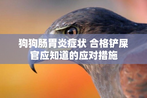狗狗腸胃炎癥狀 合格鏟屎官應知道的應對措施