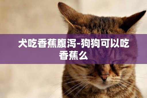 犬吃香蕉腹瀉-狗狗可以吃香蕉么