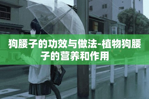 狗腰子的功效與做法-植物狗腰子的營養和作用