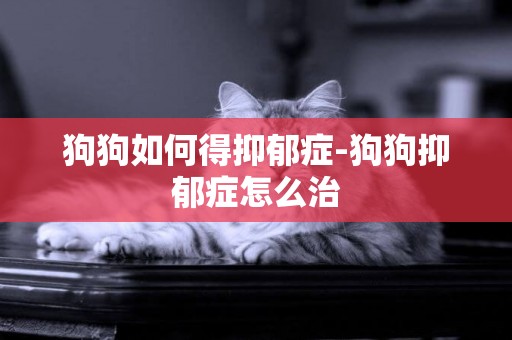 狗狗如何得抑郁癥-狗狗抑郁癥怎么治