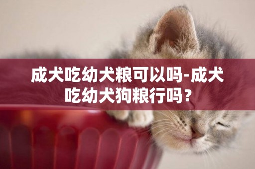 成犬吃幼犬糧可以嗎-成犬吃幼犬狗糧行嗎？