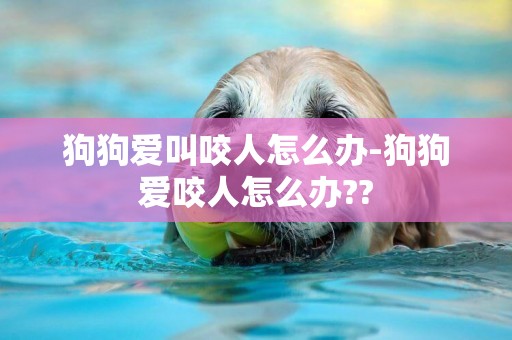 狗狗愛叫咬人怎么辦-狗狗愛咬人怎么辦??