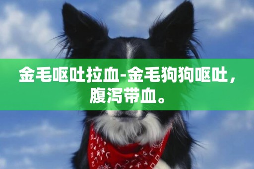 金毛嘔吐拉血-金毛狗狗嘔吐，腹瀉帶血。