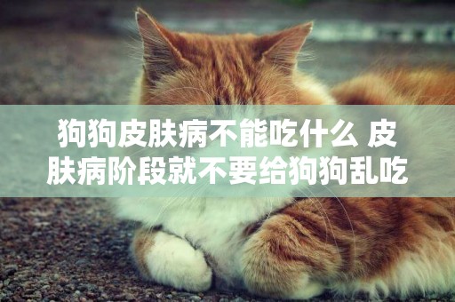 狗狗皮膚病不能吃什么 皮膚病階段就不要給狗狗亂吃這些了