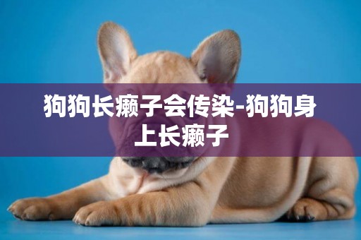 狗狗長癩子會傳染-狗狗身上長癩子