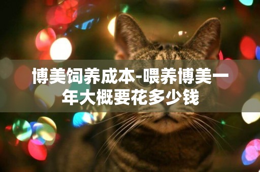 博美飼養成本-喂養博美一年大概要花多少錢