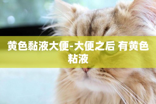 黃色黏液大便-大便之后 有黃色粘液