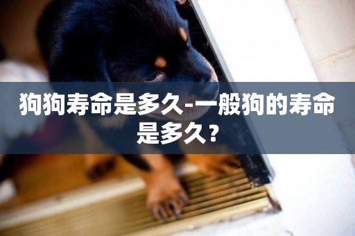 狗狗壽命是多久-一般狗的壽命是多久？