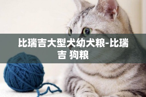比瑞吉大型犬幼犬糧-比瑞吉 狗糧