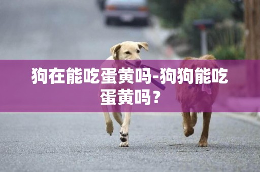 狗在能吃蛋黃嗎-狗狗能吃蛋黃嗎？
