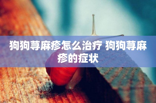 狗狗蕁麻疹怎么治療 狗狗蕁麻疹的癥狀