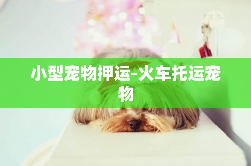 小型寵物押運-火車托運寵物
