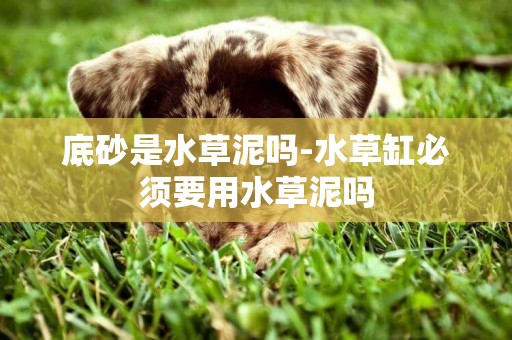 底砂是水草泥嗎-水草缸必須要用水草泥嗎